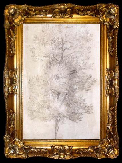 framed  Claude Lorrain A Tree Trunks (mk17), ta009-2